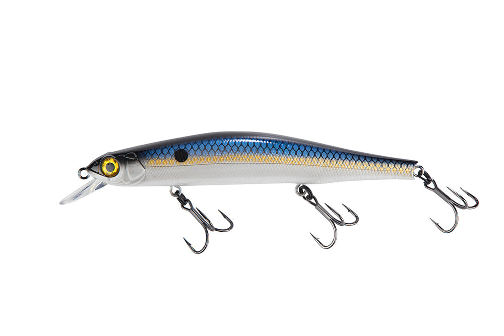 Shad.jpg?v=1715221937